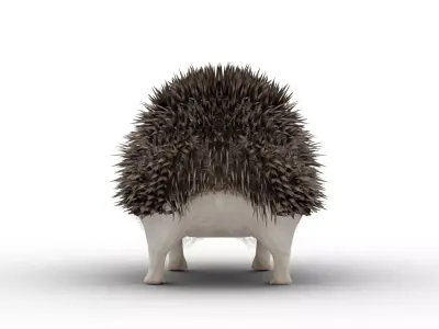 Hedgehog Low-poly 3D model
