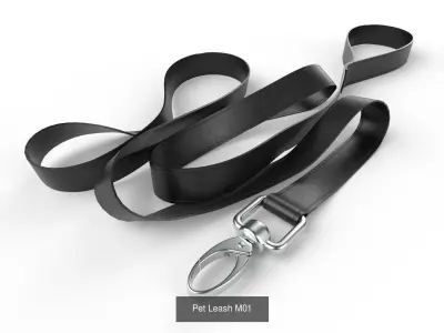 Pet Leash Collection 01 3D Model Pack