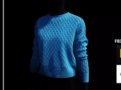 Sweater Marvelous Designer 3D model