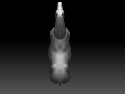 Horse Realistic Zbrush 3D model base mesh 3D model