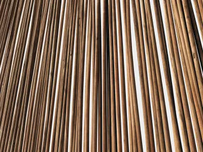 Screen branch thin decor n6 3D model