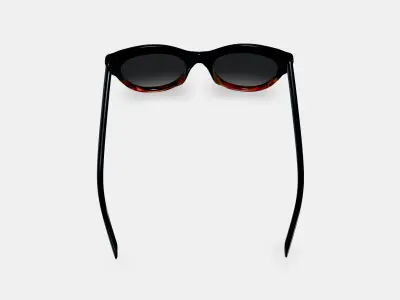 Tilley Sunglasses in Sugar Maple Fade 3D model