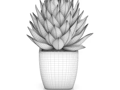Small Plant in White Pot 1 3D model