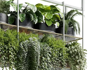 Hanging plants indoor plant 327 Low-poly 3D model