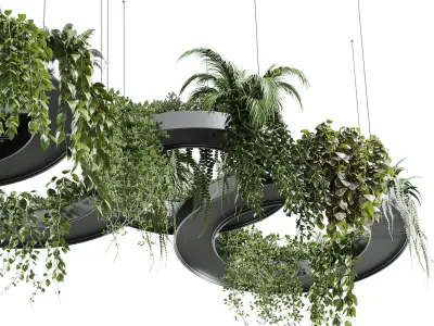 Hanging Plants Indoor plants 309 Low-poly 3D model