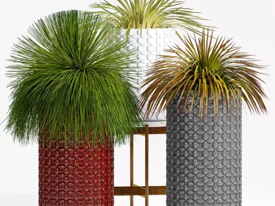 Decorative plant set-40 3D model