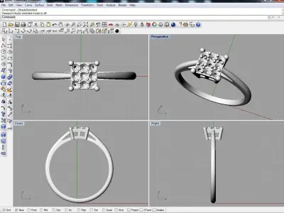 Set ring and earring ready for 3d print 3D print model purchase