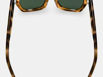 Harris Sunglasses in Oak Barrel 3D model