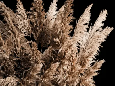 Deorative Bouquet In A Concrete Vase Of Dry Reeds 268 3D model