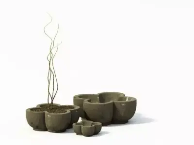 Planters With A Tree 3D model