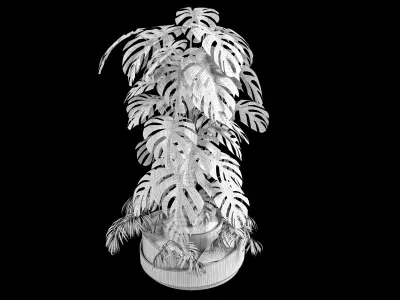 Monstera and Palm plant 3D model