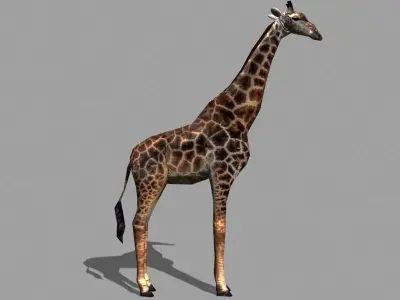 Low poly Savannah pack - 3d model Low-poly 3D model