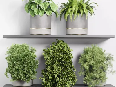 indoor outdoor plant vase concrete plant pot on shelves 3D model