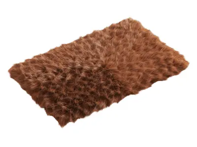 Small Rectangular Fluffy Rug 3D model