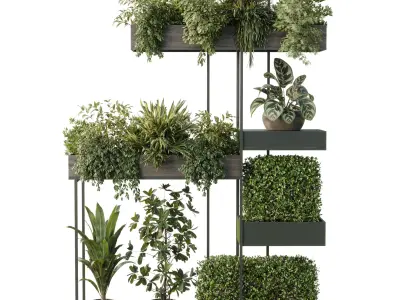 Standing metal shelf with a set of plants in wooden 683  3D model