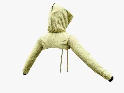 cut out cropped hoodie Low-poly 3D model