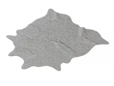 Zebra rug 02 3D model