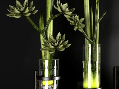 Decor plants 3D model