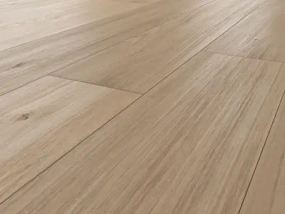 Wood floor Oak Canna Sanded 3D model