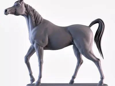 Arabian Horse 3D print model