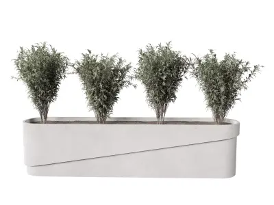 Plants Box Collection 3D model