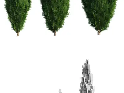 Thuya tree Set - 7 models 3D model