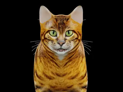 Toyger Cat Low-poly 3D model
