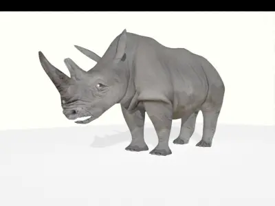 rhino lowpoly rhinoceros Low-poly 3D model