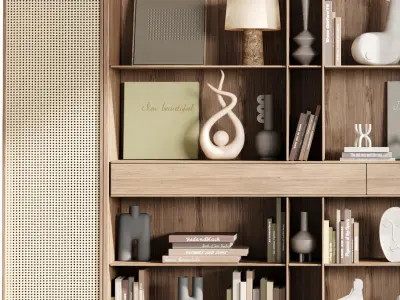 Cabinet rattan Furniture -Wooden Shelves Decorative With Book 07 3D model