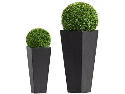 Modern Boxwood in the garden planter ArtDeco 3D model