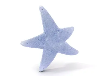 Textured Starfish model pack Low-poly 3D model