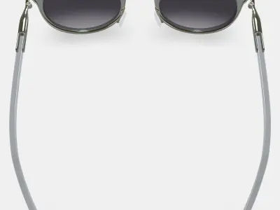 Whittier Sunglasses in Soapstone with Riesling 3D model