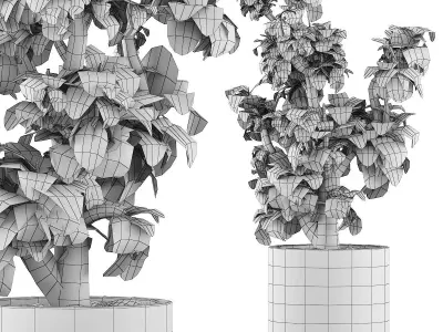 Plants Collection 119 3D model