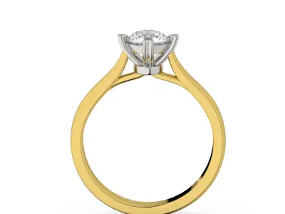 Set of 10 measures engagement rings with heart details 3D print model