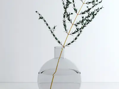 Eucalyptus Parvifolia 3D model