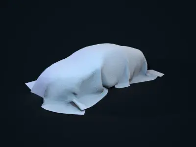 Car Covered Low-poly 3D model