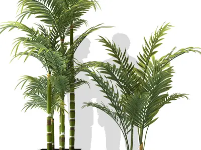 Plants 83 3D model