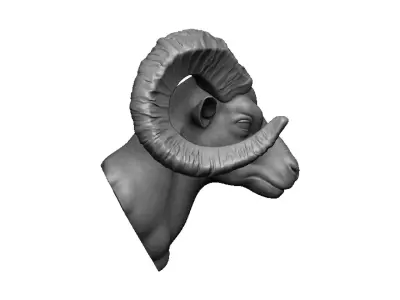 ram head 3D print model purchase