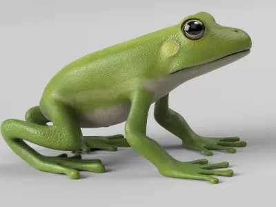 Tree Frog Low-poly 3D model
