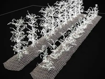 Crops Peas Plants Low-poly 3D model