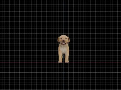 Golden Retriever Puppy Dog Low-poly 3D model