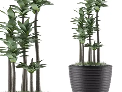House Plant 19 3D model
