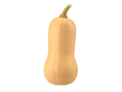 Photorealistic Butternut Squash 3D Scan 3D model