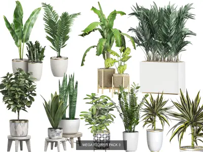 Ultra Flower Interior Decoration Pack 1 3D Model Collection