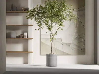 Potting decoration model monomer Plant 3D model