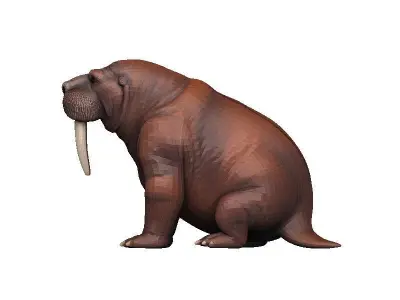 Walrus Low-poly 3D model