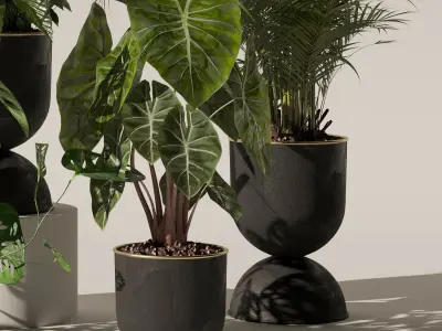 Plants collection 140 3D model