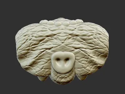 elephant head 3D print model