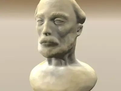 Bearded Man Bust 3D model