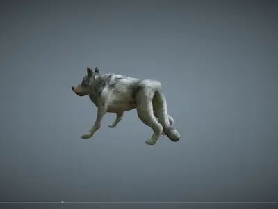 Wolf - low-poly model Free low-poly 3D model 3D model